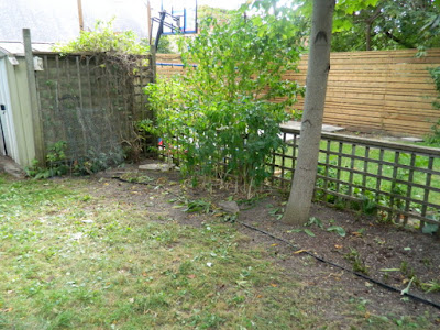 High Park Toronto Back Yard Fall Cleanup After by Paul Jung Gardening Services--a Toronto Organic Gardening Company High Park Toronto Back Yard Fall Cleanup After by Paul Jung Gardening Services--a Toronto Organic Gardening Company