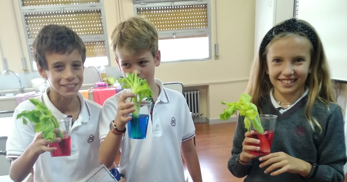 NATURAL SCIENCE Doing Experiments in the Lab