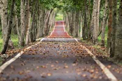 Nature Images Nature Images
