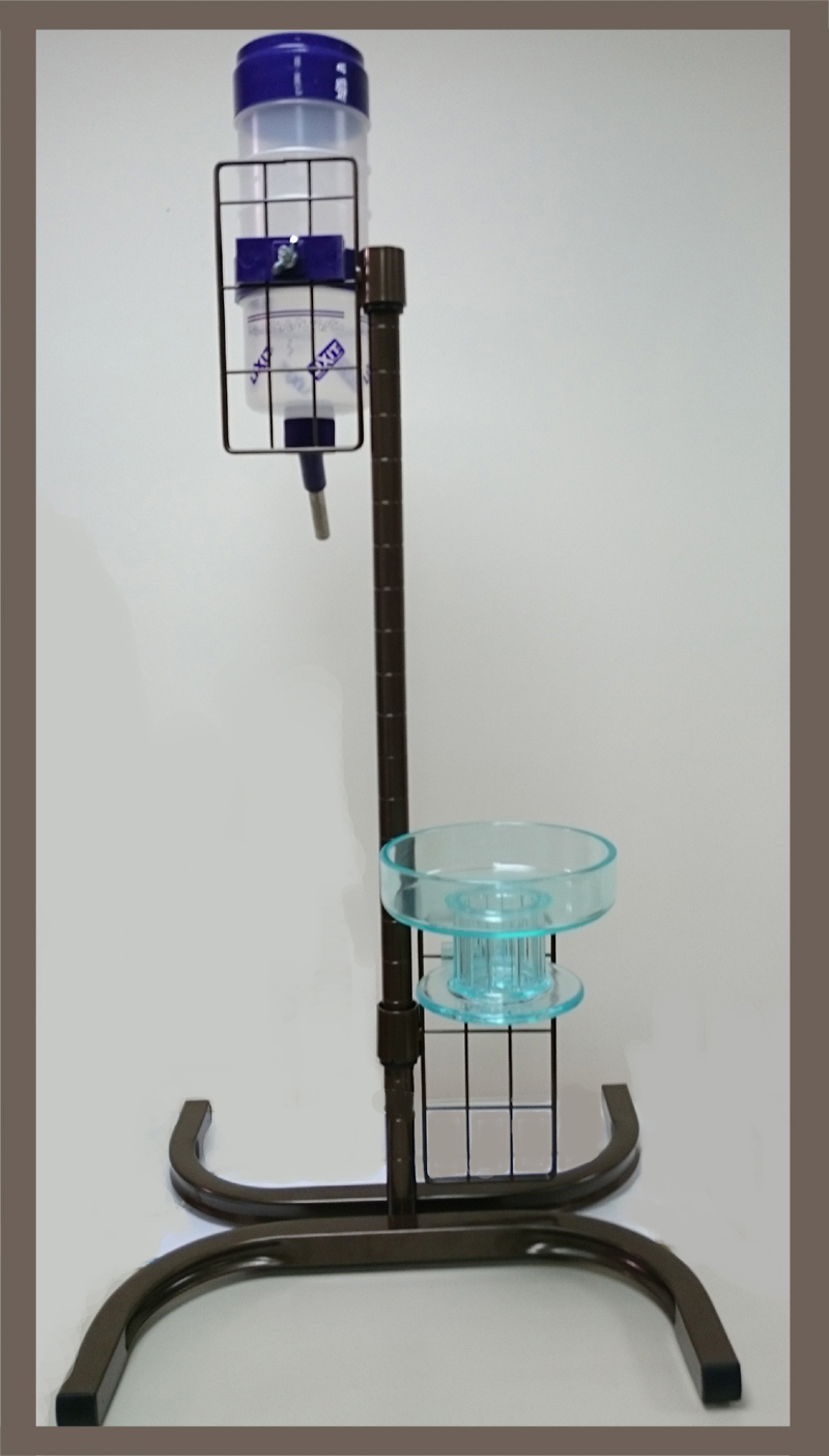 Morigen Company Ltd. Pet Water Bottle & Bowl Stand