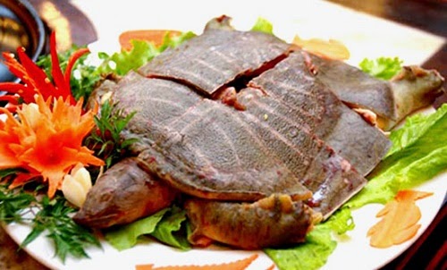 Steamed Soft-shell Turtle with Ginger (Ba Ba Hấp Gừng)1