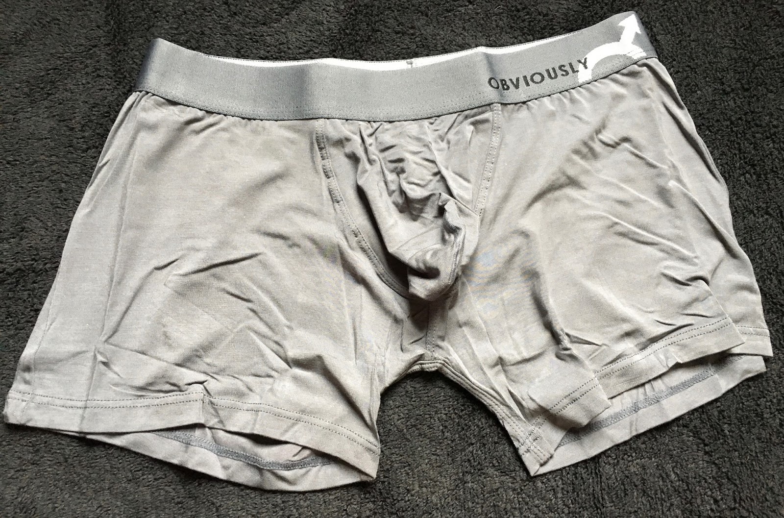 WellEndowed Underwear Review Obviously AnatoMAX Boxer Brief with 3