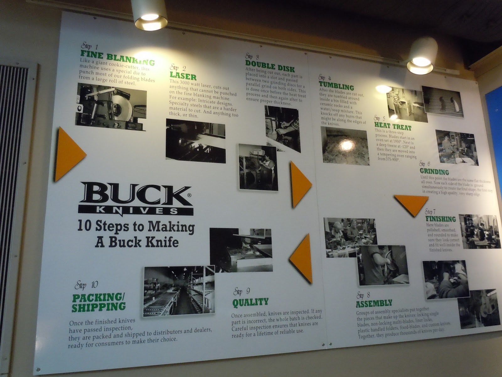 Team Monty's Expedition Pigeon TN Week 2