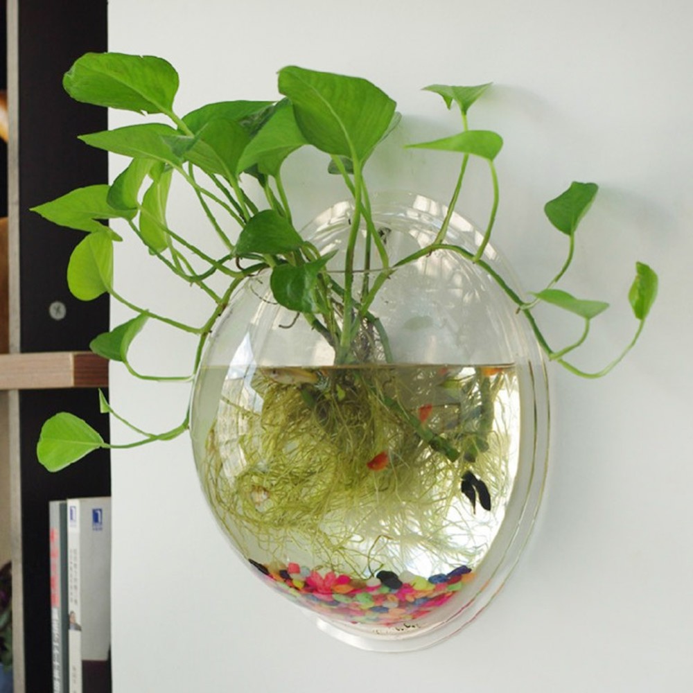 Acrylic Fish Bowl Buy on Amazon and Aliexpress