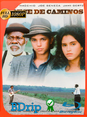 Encrucijada (1986) HD BDRIP [1080p] Latino [GoogleDrive] [MasterAnime]