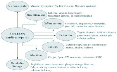 Secondary cardiomyopathies