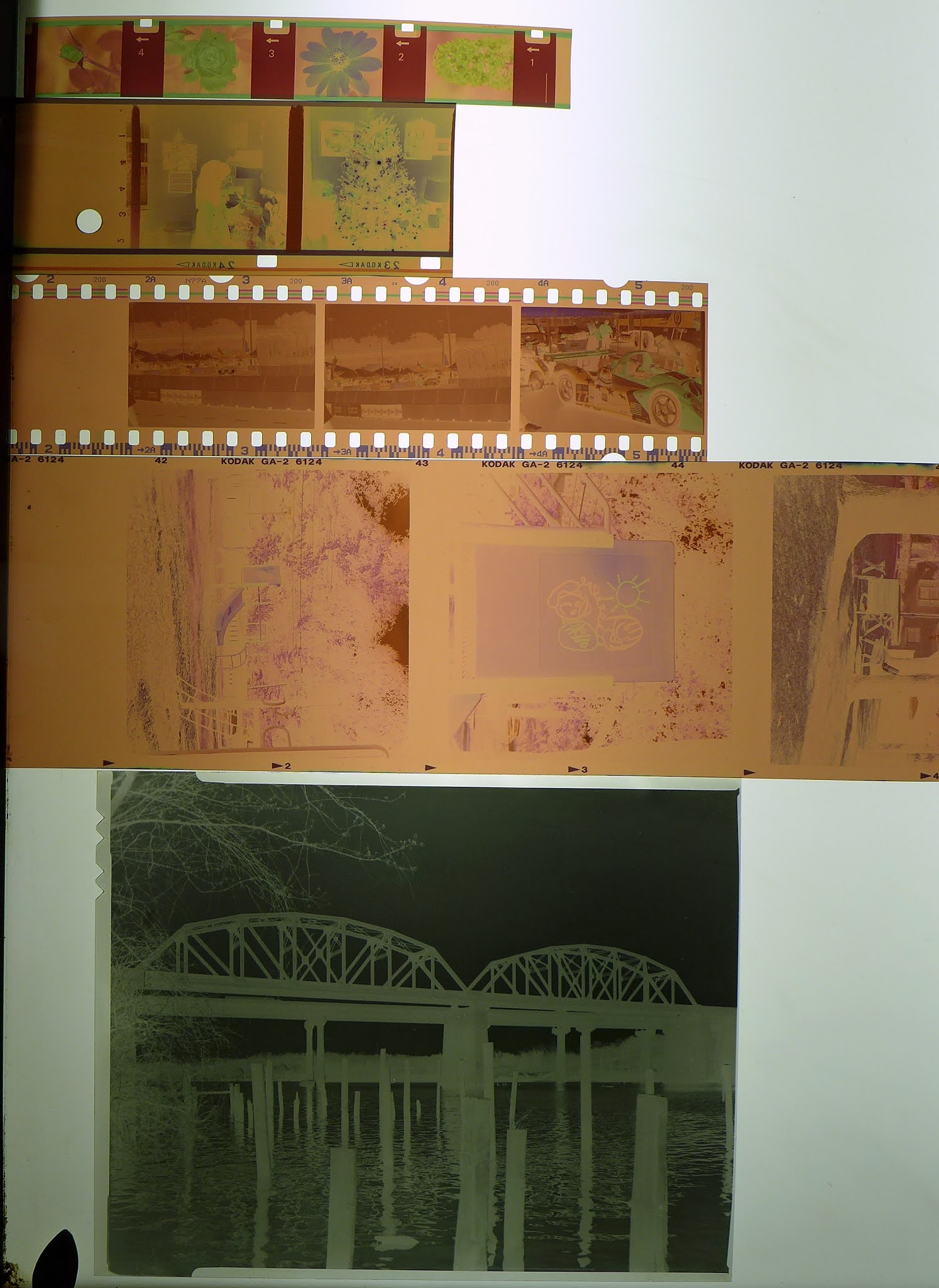 The Robb Collections 20210103