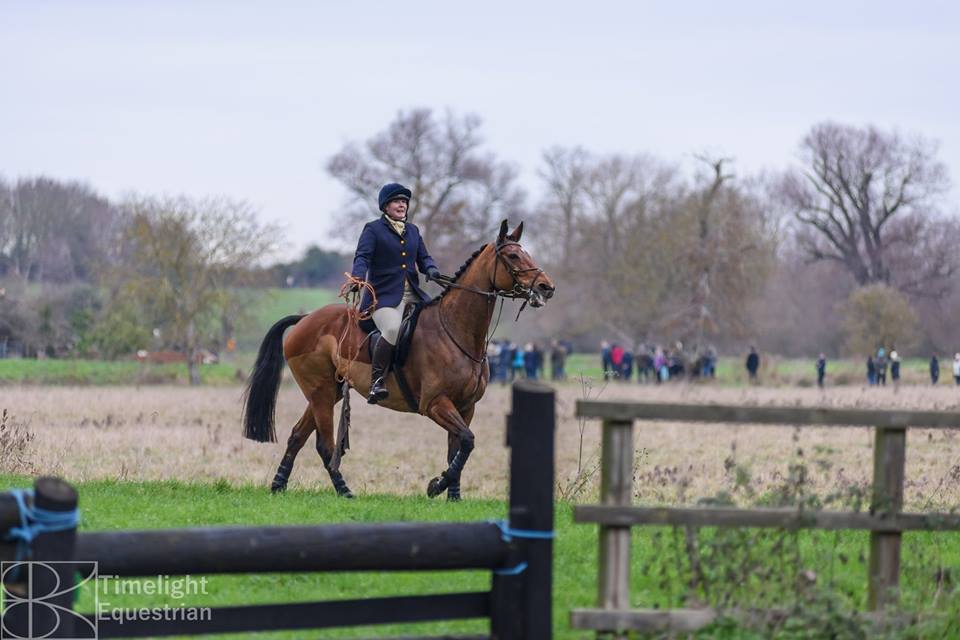 The Adventures of an Amateur Equestrian Scent laying for the Cambridge