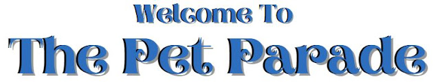 The Pet Parade ©BionicBasil® Winter Banner