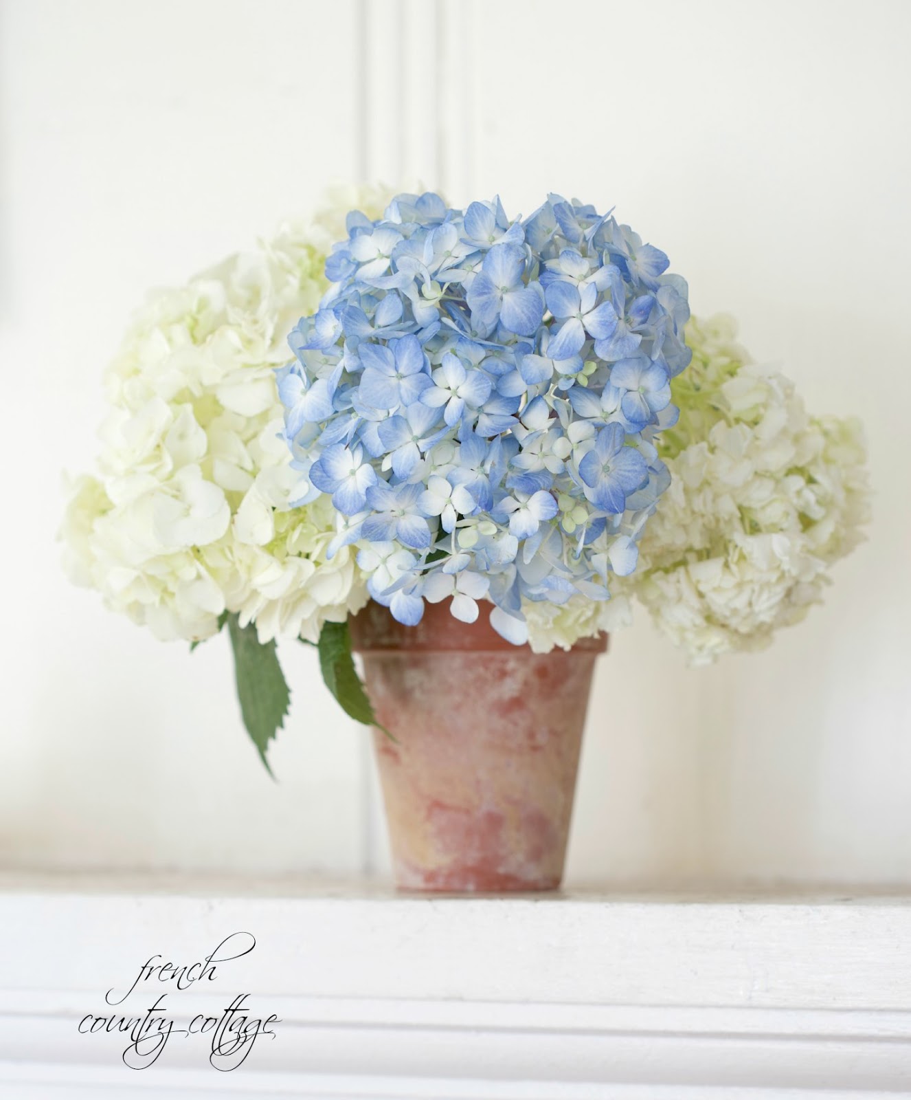 Bells Of Ireland Hydrangea Freesia Tulips Poms And Varigated