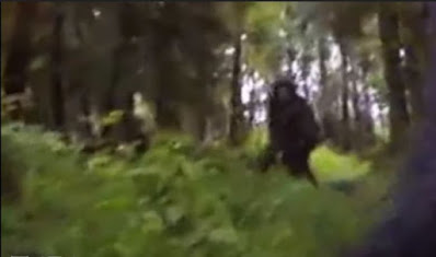 RMSO Bigfoot: Dog Wearing Gopro Gets Sasquatch on Video Tri Driver Analysis
