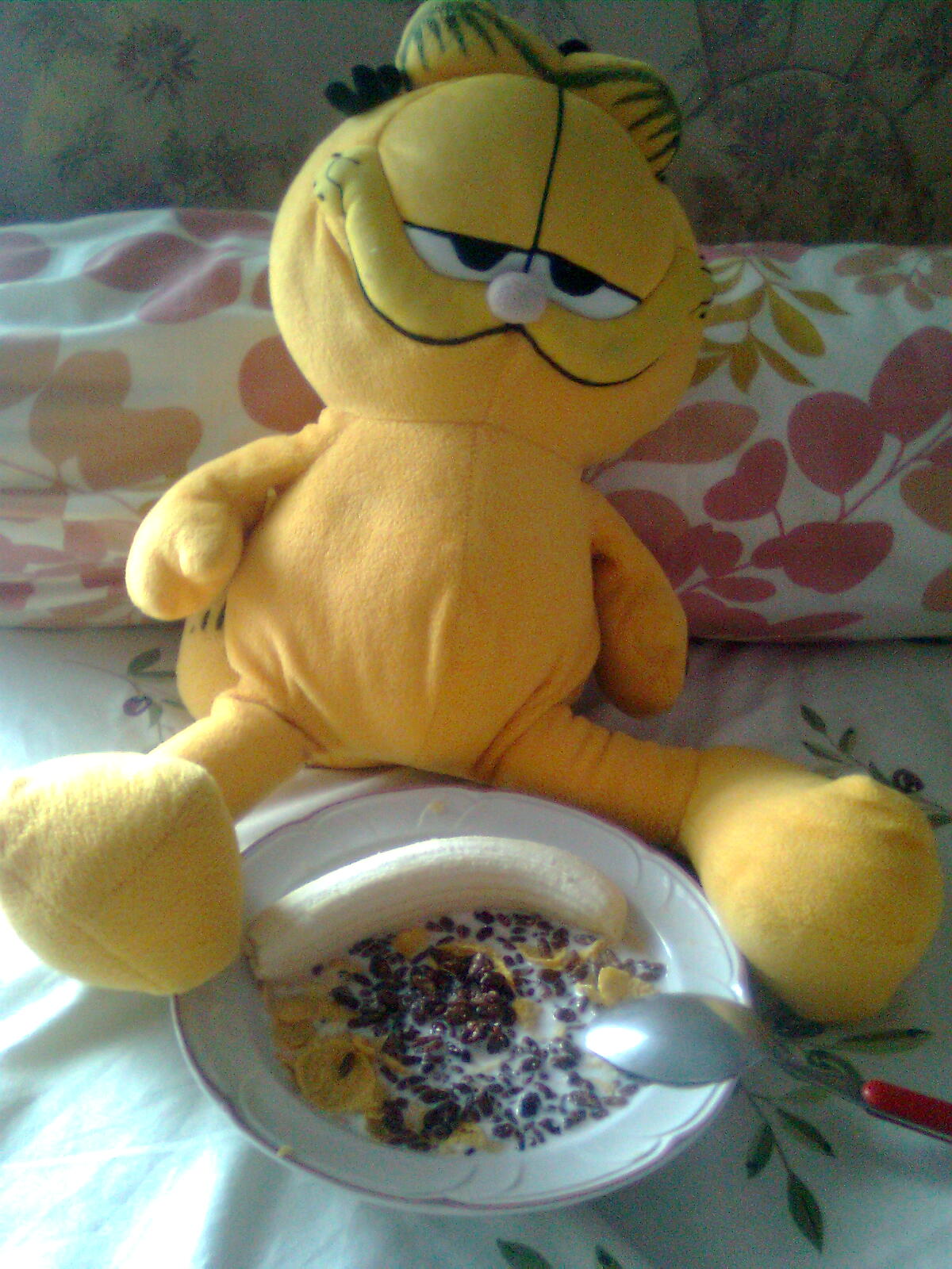 rhapsody Breakfast with Garfield