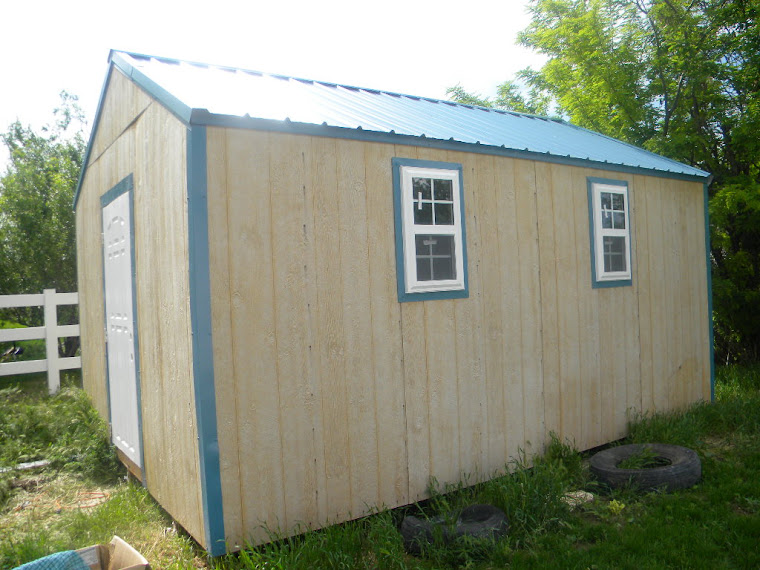 Standard Storage Shed (with windows and door)