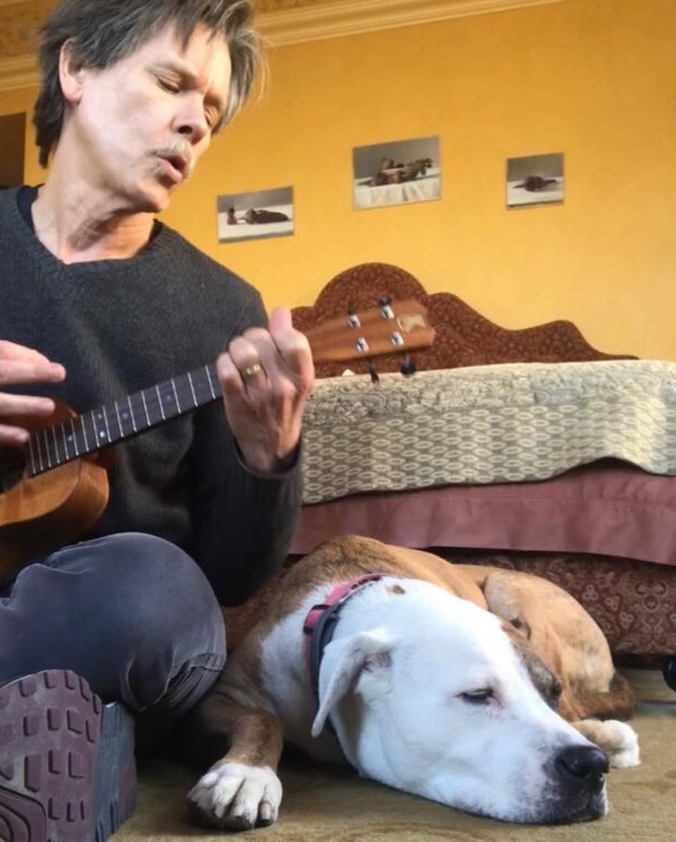 Kevin Bacon And Kyra Sedgwick Fill Their Home With Pitbulls And Rescue Dogs