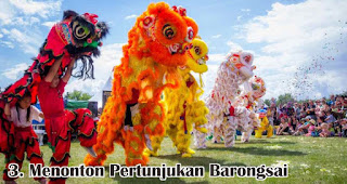 Menonton Pertunjukan Barongsai merupakan salah satu ide seru untuk nikmati moment imlek