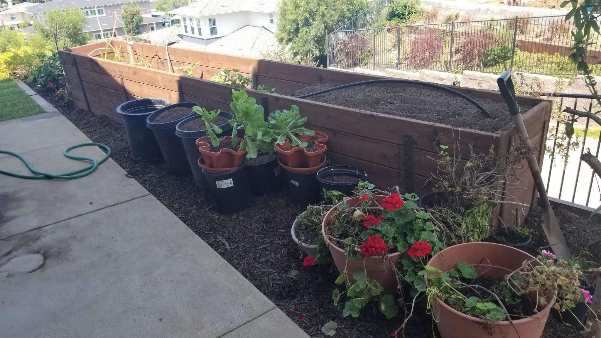 The 2 Minute Gardener Photo Raised Wooden Vegetable Box