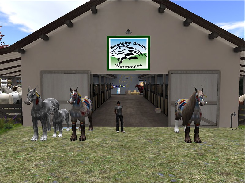 A HORSE OF A DIFFERENT COLOR WOODBINE DOWNS ESTATES JOSH (THOMAS1