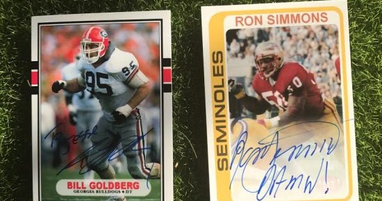 bill goldberg atlanta falcons