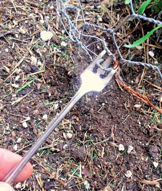 How to Make a Chicken Wire Garden Cloche Fresh Eggs Daily® with Lisa