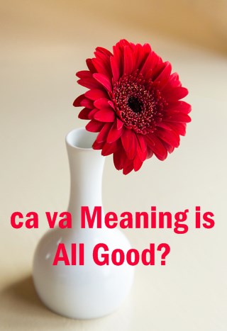 ca va Meaning In English