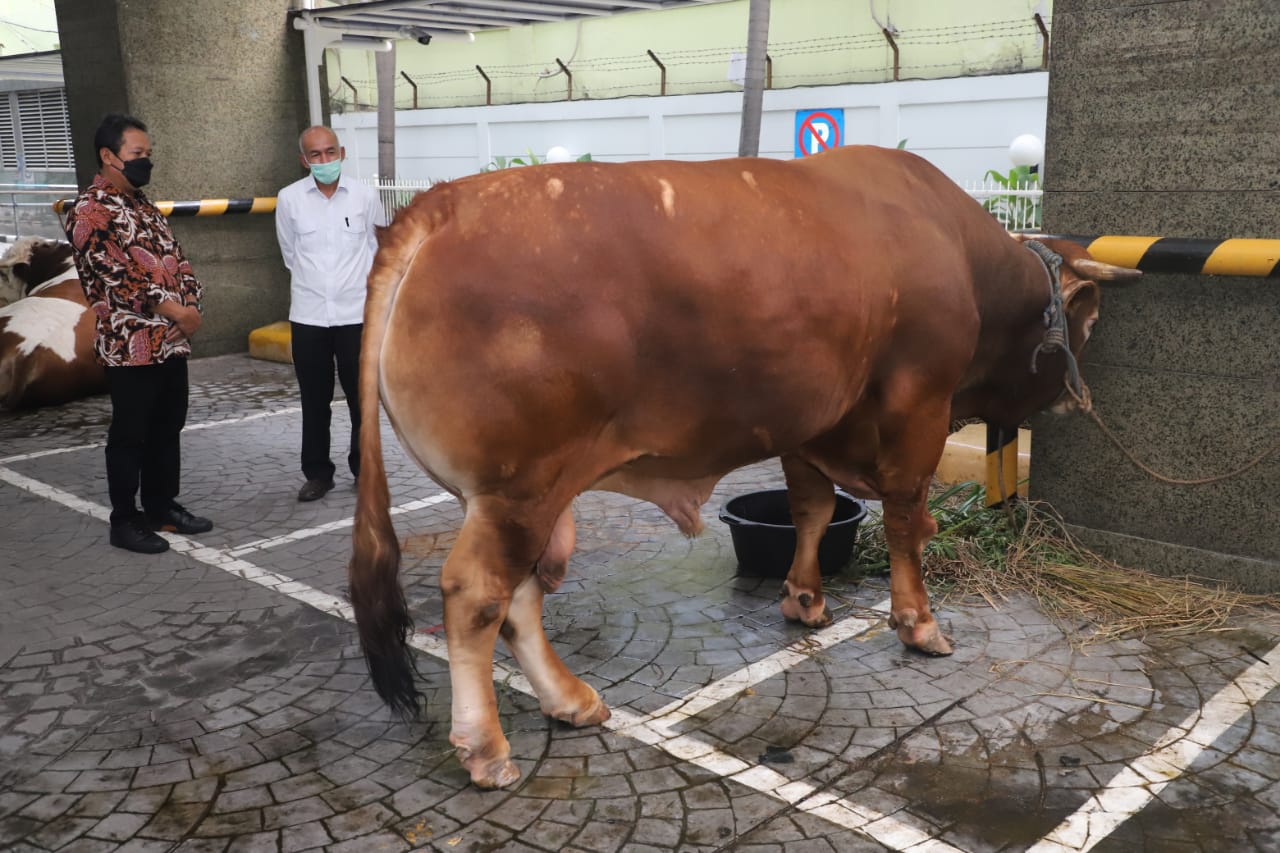 Menteri Trenggono Berkurban Sapi Limosin dari Wonogiri Seberat 1,3 Ton
