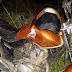 REGIÃO / BA-130: Jovens de Baixa Grande sofre acidente de moto, trecho que liga Várzea da Roça a Mairi