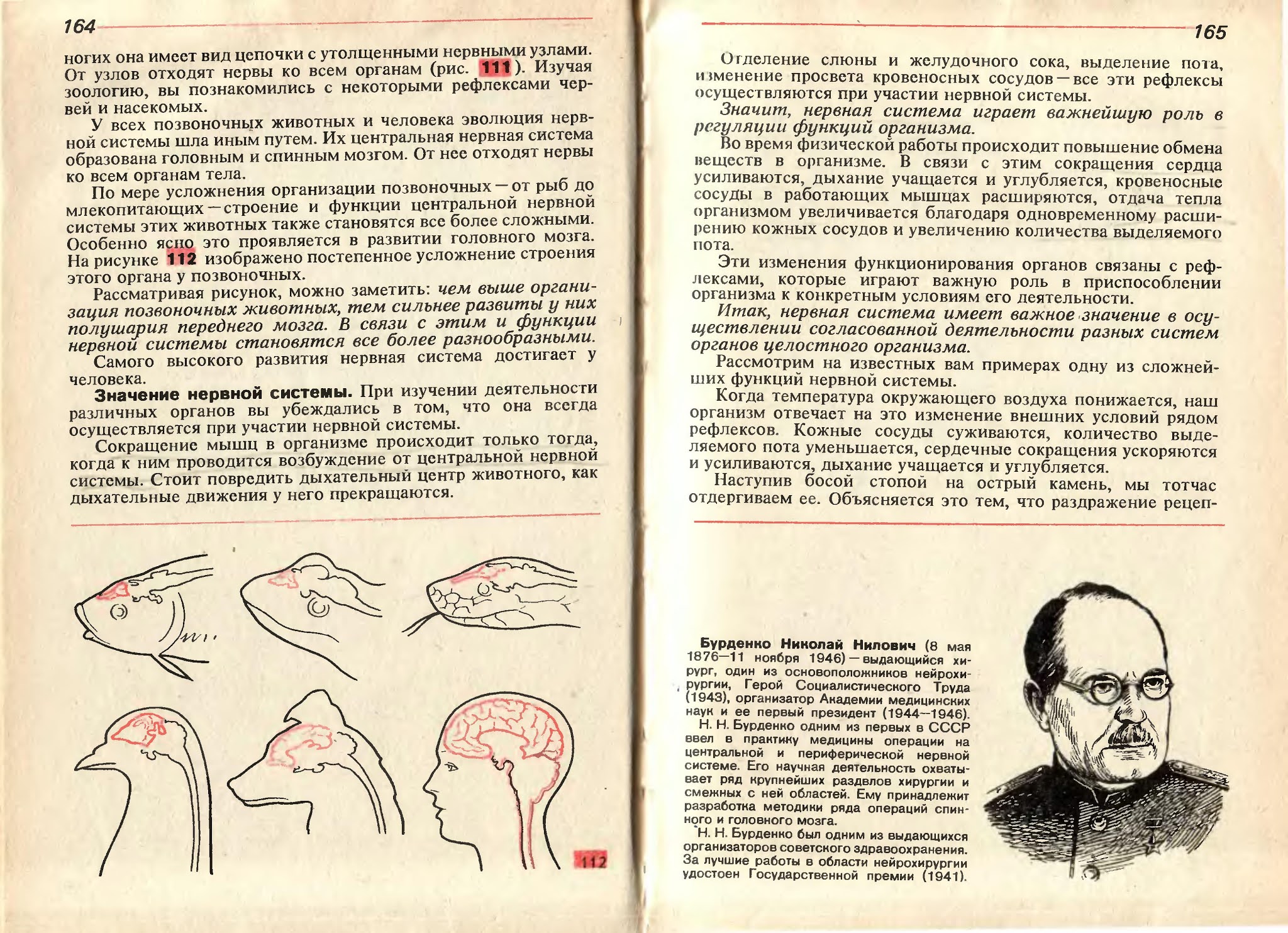 Резанова в таблицах и схемах. Анатомия человека в таблицах и схемах Резанова. Советский учебник по анатомии. Анатомия в картинках и схемах Резанова. Биология человека в таблицах рисунках и схемах Резанова.