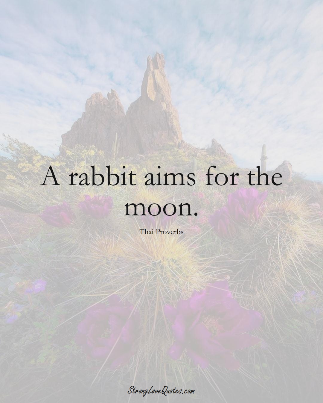 A rabbit aims for the moon. (Thai Sayings);  #AsianSayings