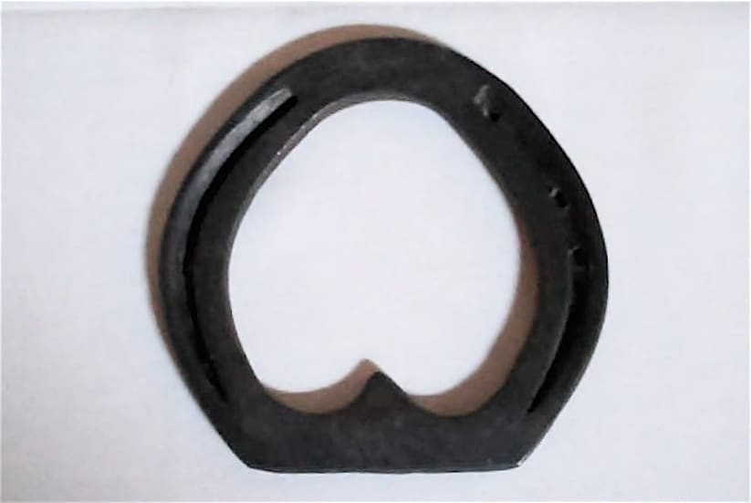 Corrective Shoeing 101: The basics