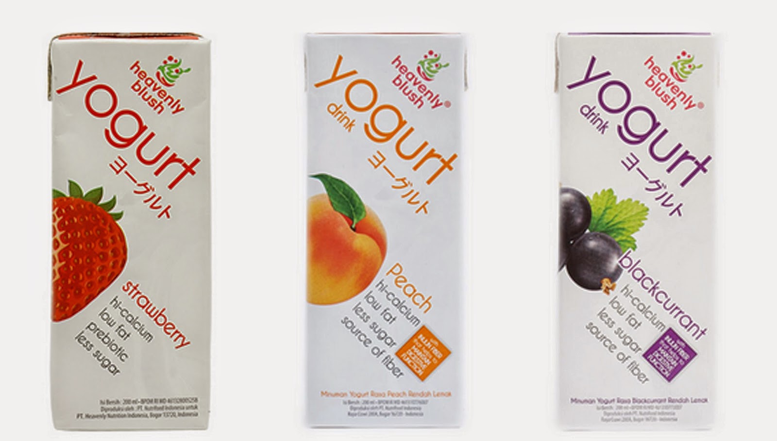 apa itu yoghurt dan cara membuat Yoghurt - Elinotes review