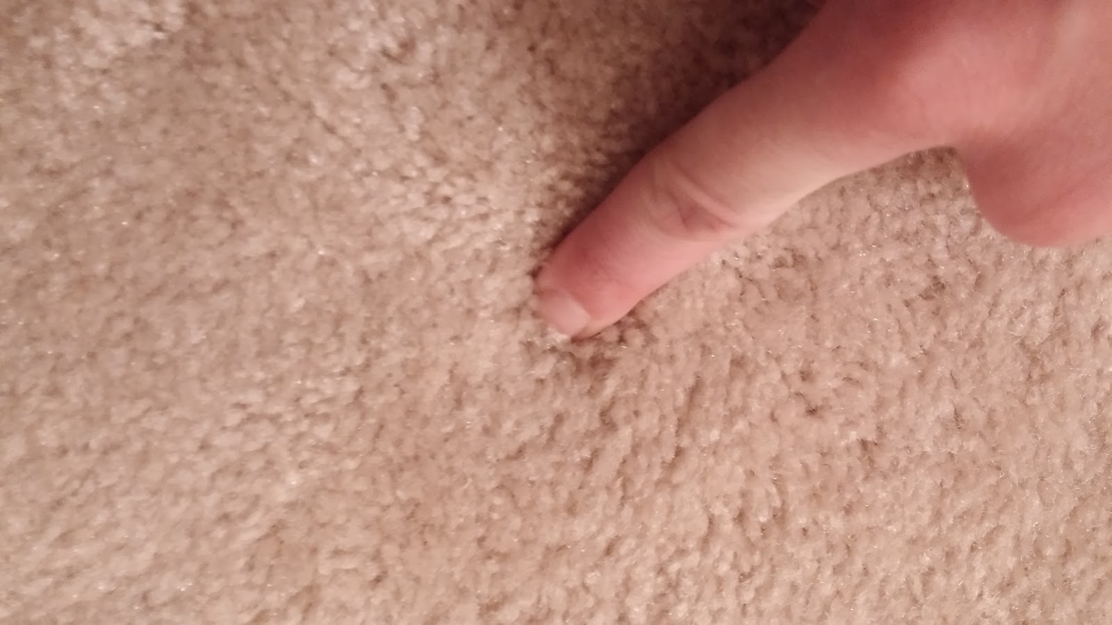 Fix Lovely How to fix burn marks in your carpet