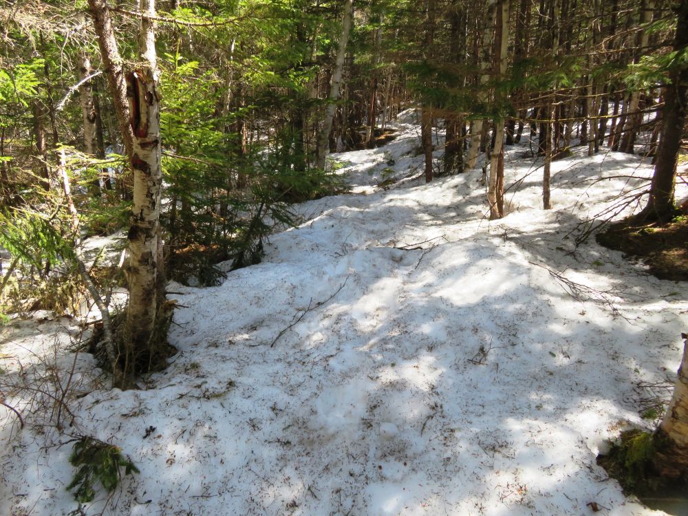 Outdoor Diversion Hall's Ledge Trail and Hutmen's Trail Loop Hike