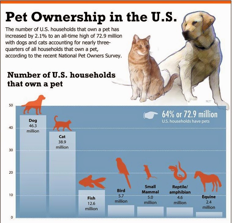 Keeping pets перевод. Reasons for having Pets схема. Stat Pets. Owning a Pet. Number of Cats and Dogs in households by Country.