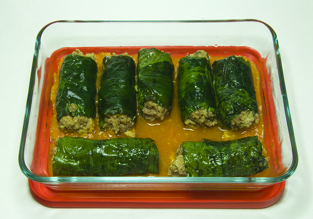 The 3 Foragers Foraging for Wild, Natural, Organic Food Ramps Recipe