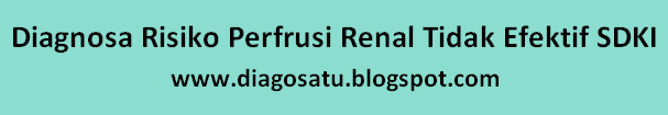 Diagnosa Risiko Perfrusi Renal Tidak Efektif SDKI