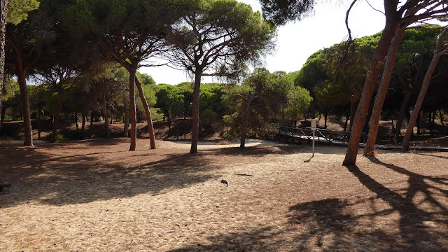 Pinares de Rota - Pasarelas del Litoral