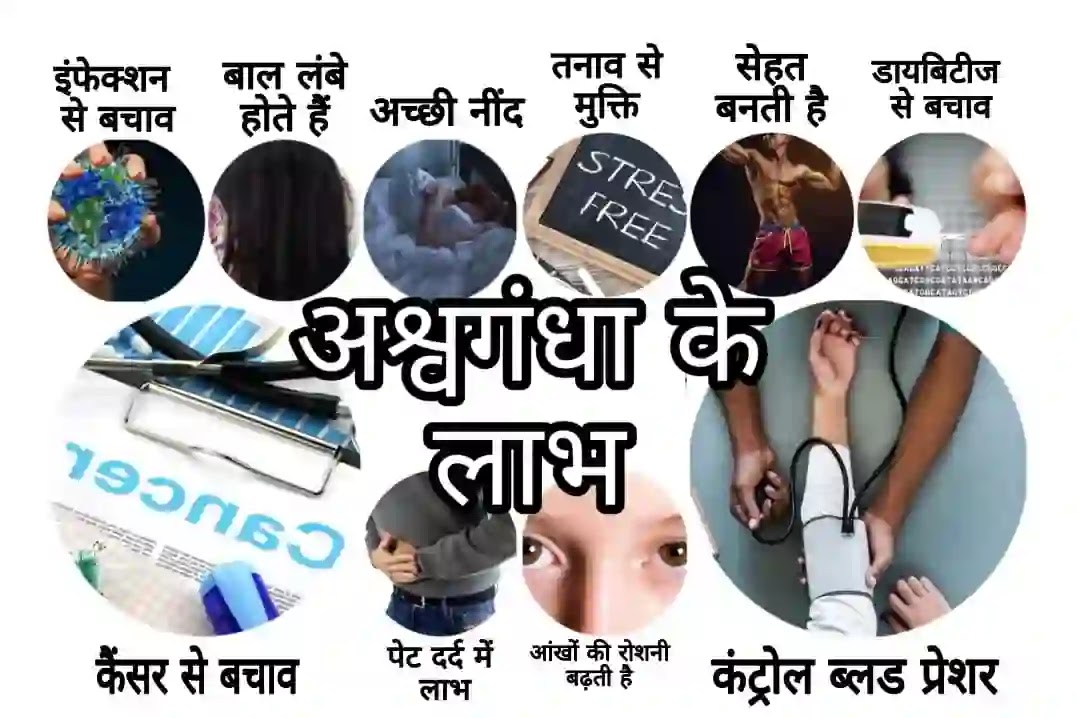 अश्वगंधा (Ashwagandha): लाभ, साइड इफेक्ट्स और खुराक Ashwagandha के लाभ