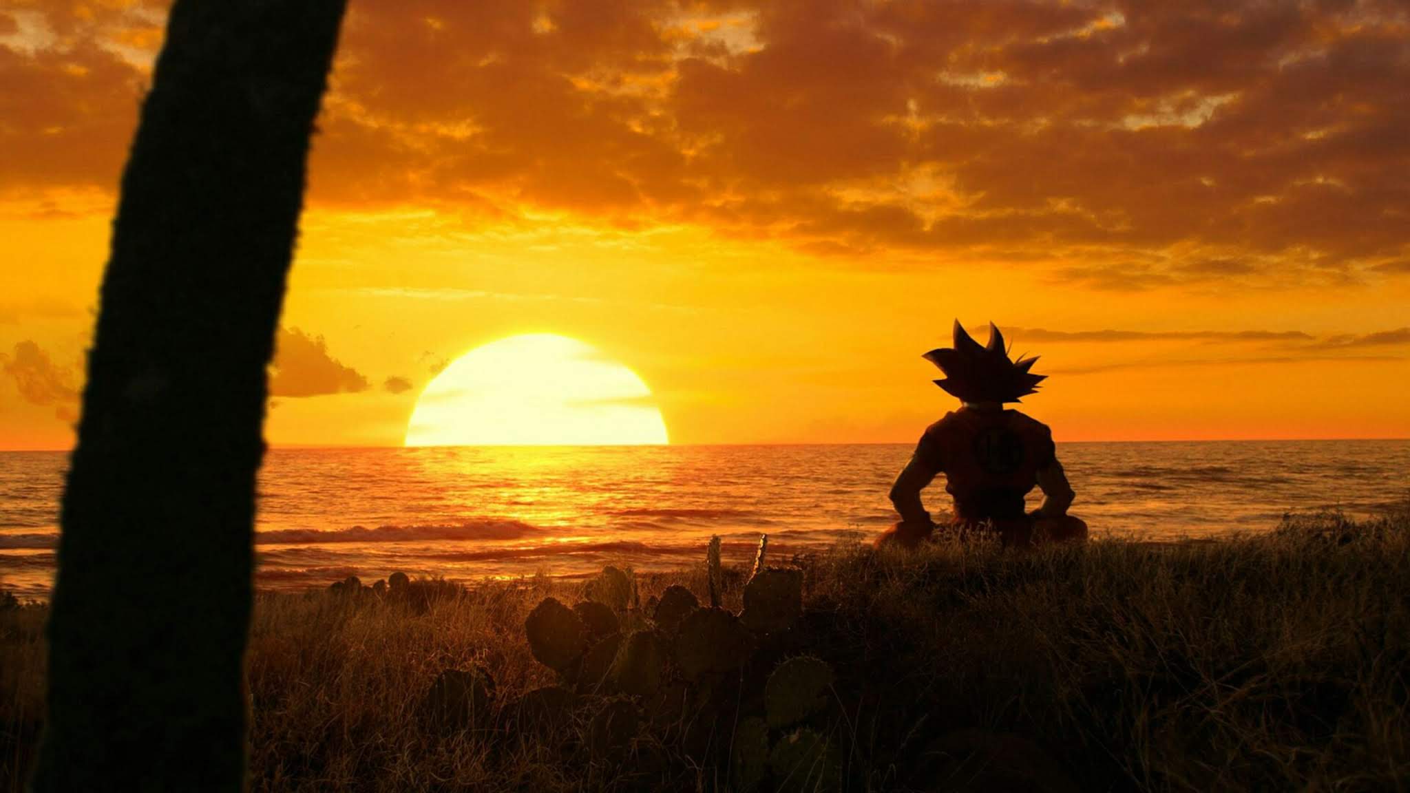 Goku Sunset Wallpaper Free Wallpapers for Apple iPhone And Samsung
