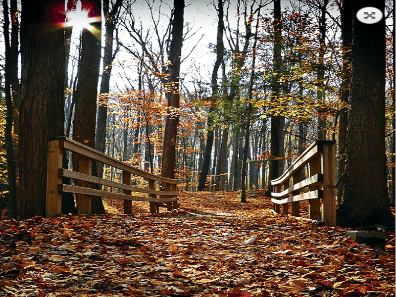 Home Builders in Waterloo Homes for sale guelph Ontario custom home