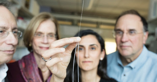 Ultrathin needle that can inject drugs directly to the brain