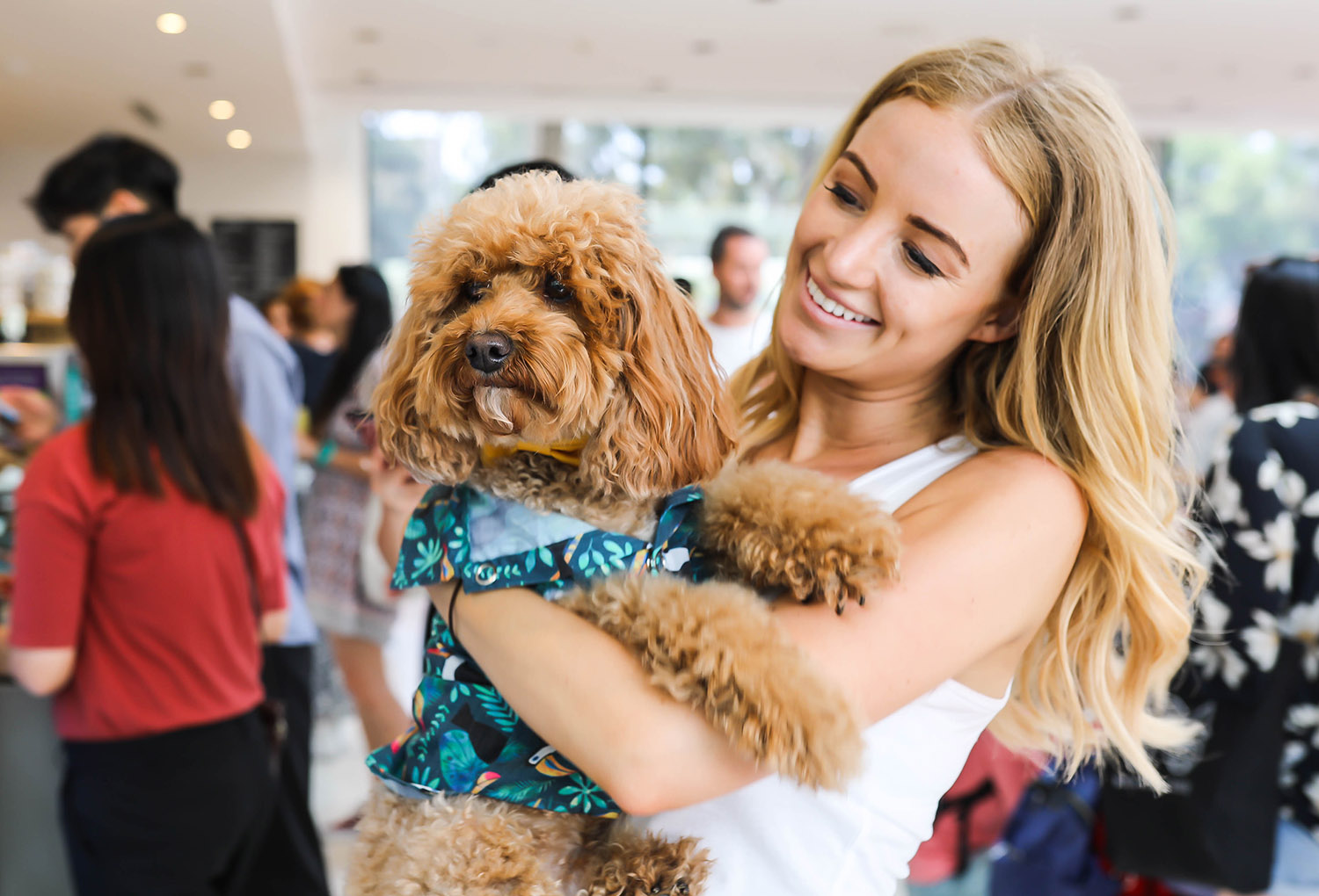 Dog News Australian Dog Lover
