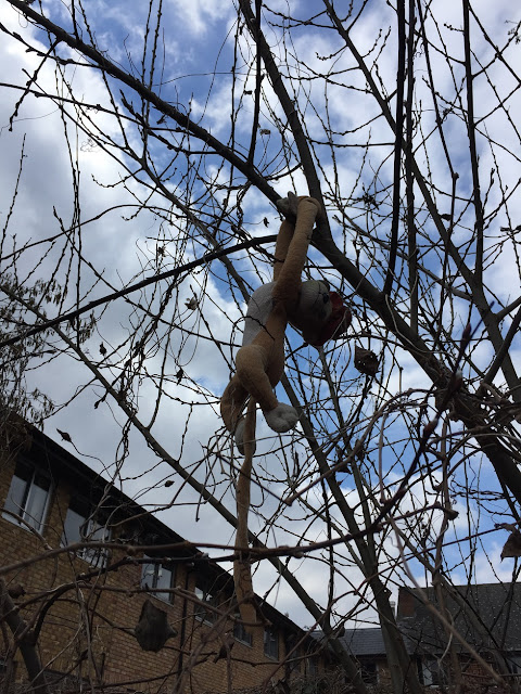 Discarded child's toy, hanging from a tree, on the London Loop Recreational Walk