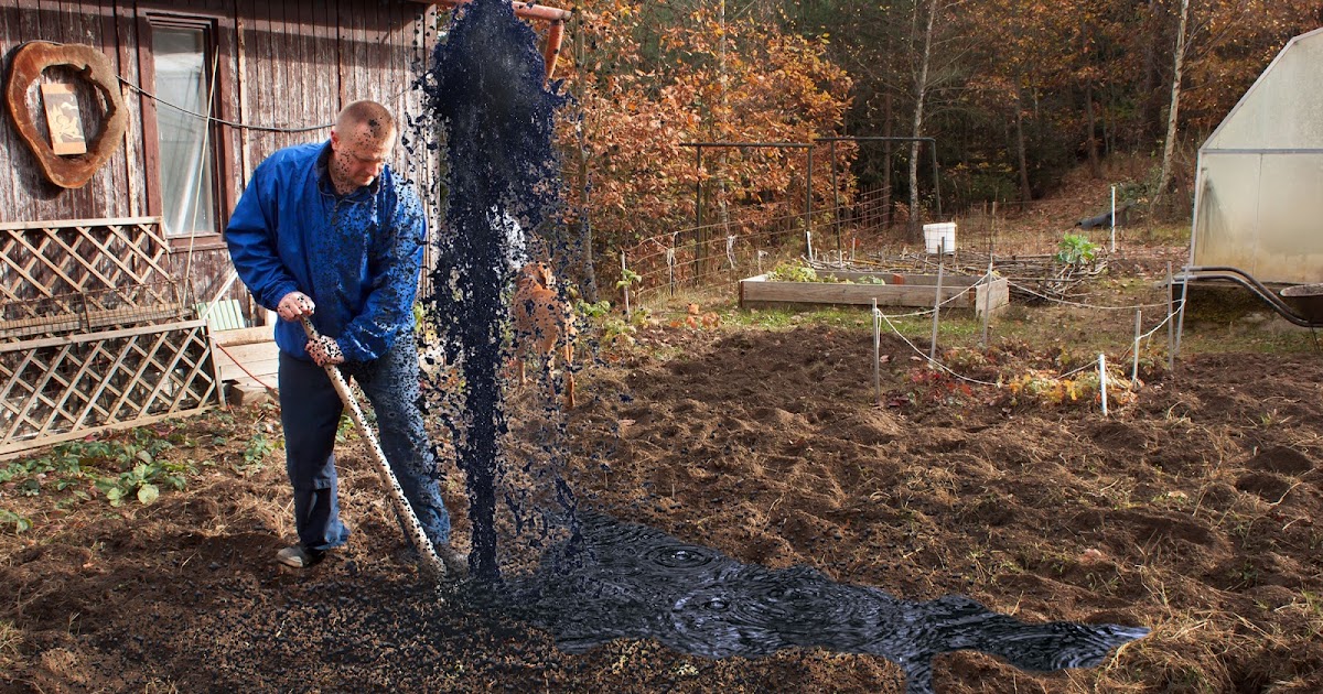 Die Mainzer Weintage Bellakocht