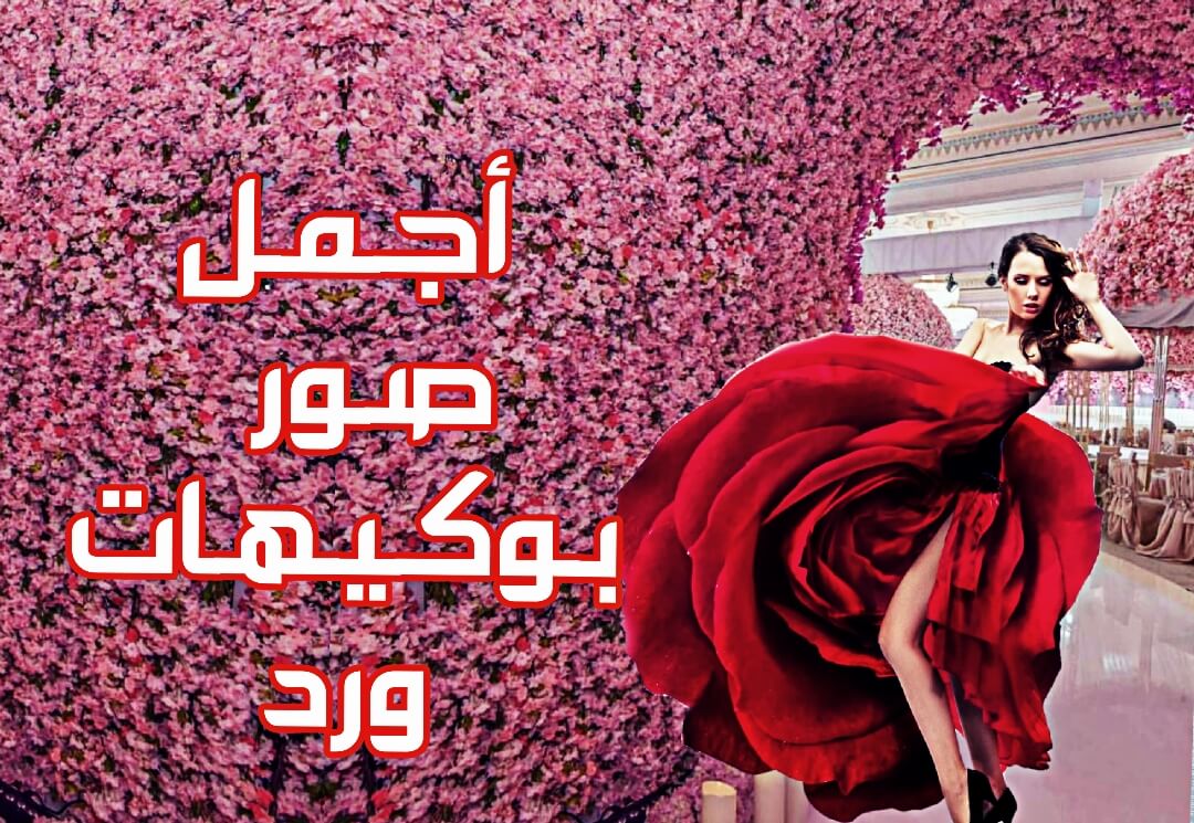 %25D8%25A3%25D8%25AC%25D9%2585%25D9%2584_%25D8%25B5%25D9%2588%25D8%25B1%25D8%258C_%25D9%2588%25D8%25B1%25D8%25AF