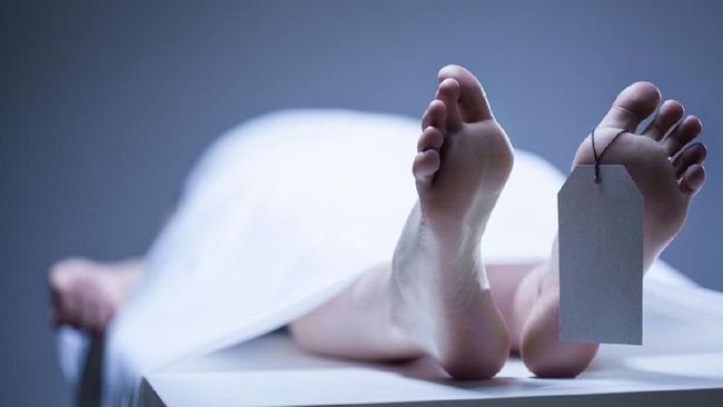 17 Dokter Indonesia Gugur Selama Pandemi Virus Corona, Ini Daftarnya 17 Dokter Indonesia Gugur Selama Pandemi Virus Corona, Ini Daftarnya