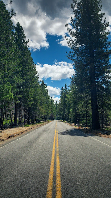 Road, Lanes, Trees, Forest, Nature