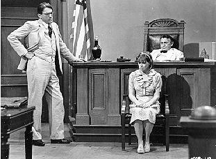 Witness cross re-examination Witness cross re-examination to kill a mocking bird