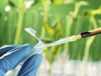 Bioteknologi sebagai "Jalan Keluar" untuk Perkembangan Teknologi Pertanian Berkelanjutan