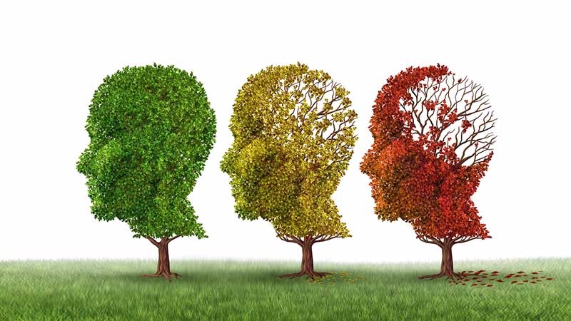 Defeat depression and stress to minimize brain aging 