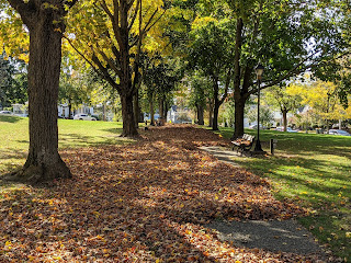 Town Common walkway as the fallen leaves are gathered